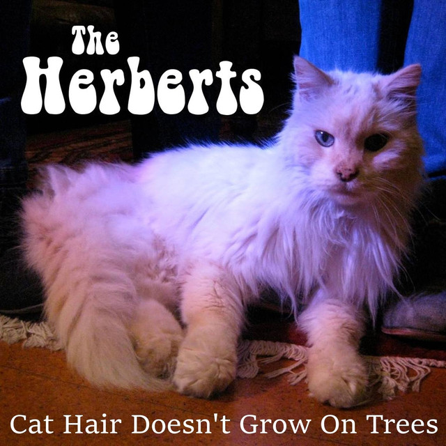 The Herberts Photo