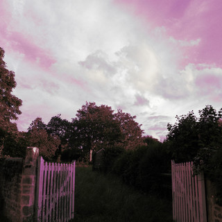 Prime Creation Photo