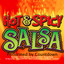 Hot And Spicy Salsa cover
