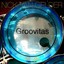 Groovitas Albumcover