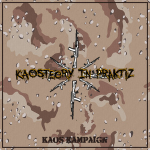 Kaosteory In Praktiz