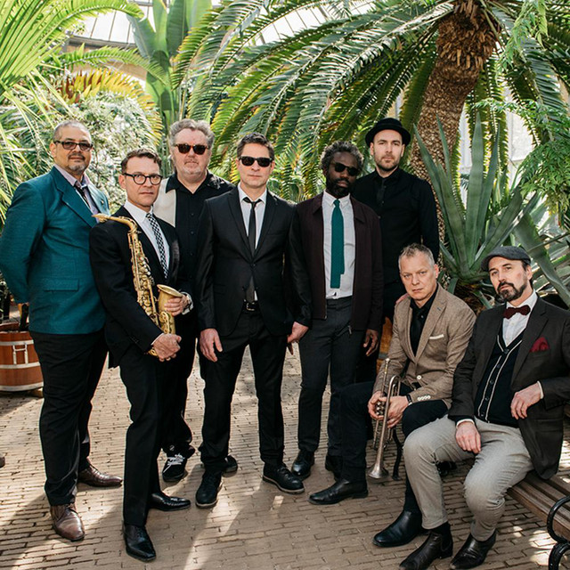 New Cool Collective photo
