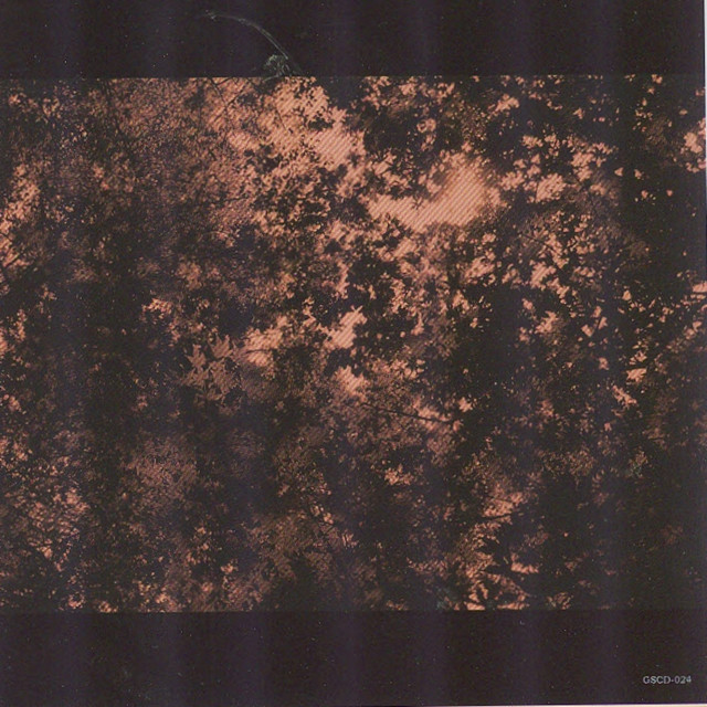 Shinjuuka cover