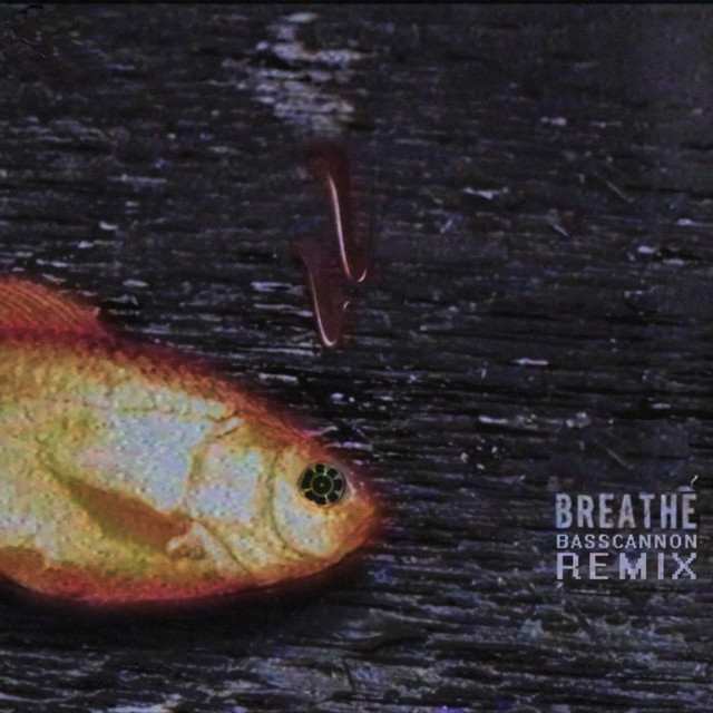 Breathe cover