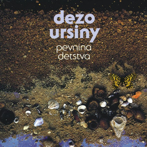 Vtáci cover