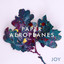 Joy cover