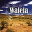 Best Of Walela cover