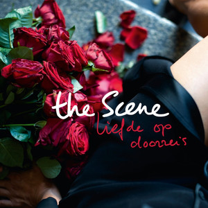 Liefde op doorreis cover