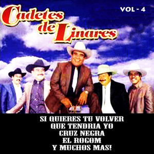 Vol. 4 album