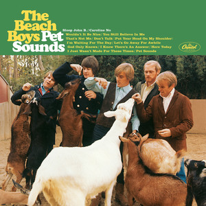 Pet Sounds (Mono Version) album