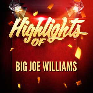 Highlights of Big Joe Williams album