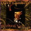 Broken Wings cover