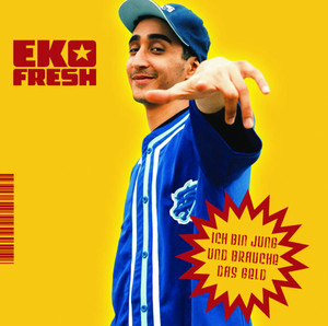 Ich bin jung und brauche das Geld album