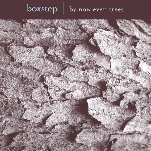 Boxstep Photo