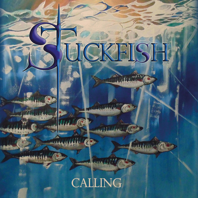 Stuckfish Photo