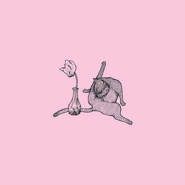 Cyclamen Photo