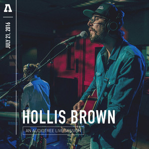 Hollis Brown cover