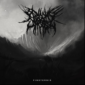 Finsternis cover