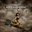 The Killer Instinct (Track By Track Commentary) cover