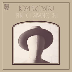 Perfect Abandon cover