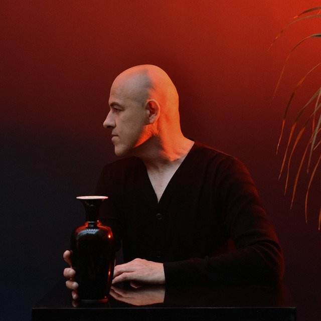 Musik Artist Dominique A