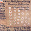 Morning Meditation - A Dhrupad Recital Albumcover