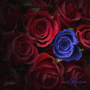 The R.O.S.E. EP cover