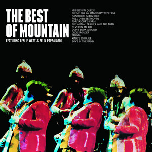 The Best Of Mountain album