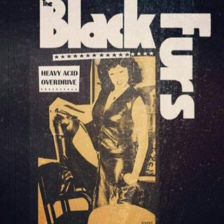 The Black Furs Photo