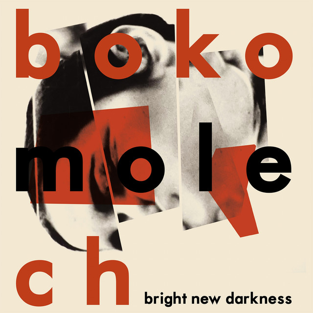Bokomolech Photo