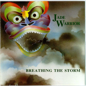 Breathing the Storm cover