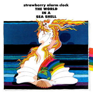 Sea Shell cover