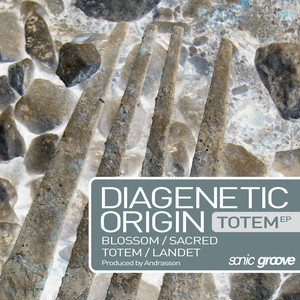 Diagenetic Origin
