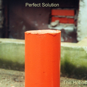 Perfect Solution cover