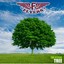 Tree Albumcover