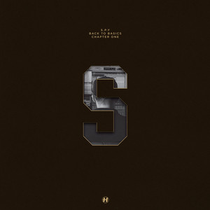 Back to Basics Chapter One cover