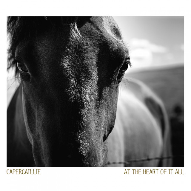 At The Heart Of It All cover