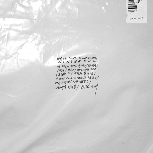 We've Done Something Wonderful cover