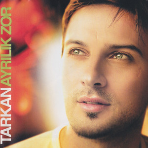 Ayrılık Zor album