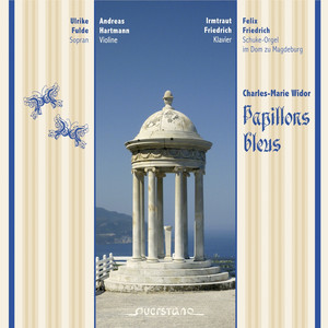Papillons bleus cover