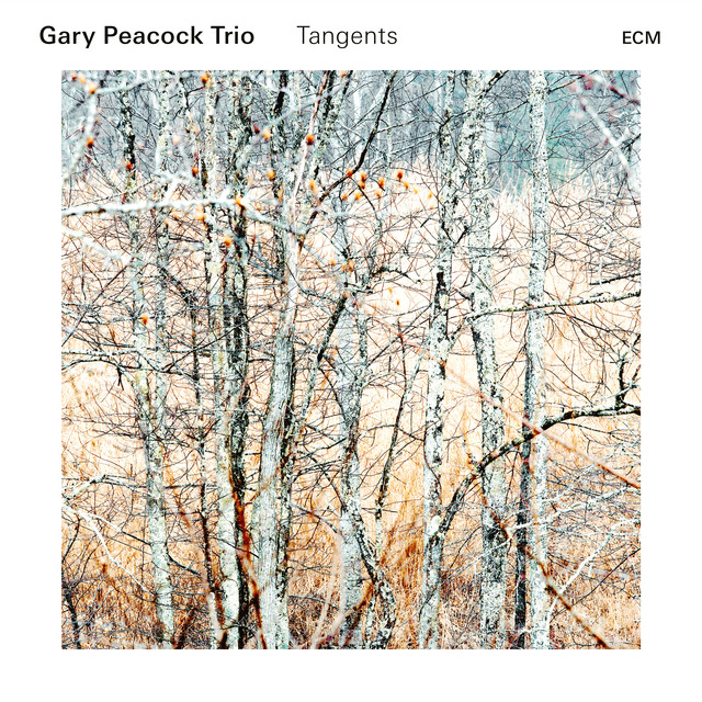 Gary Peacock Trio Photo