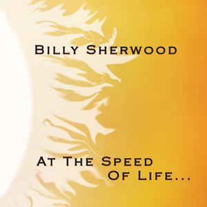 At the Speed of Life... album