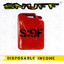 Disposable Income cover