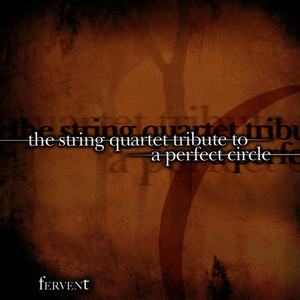 The String Quartet Tribute to A Perfect Circle cover