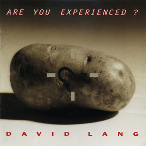 Are You Experienced?: I. On Being Hit On the Head cover