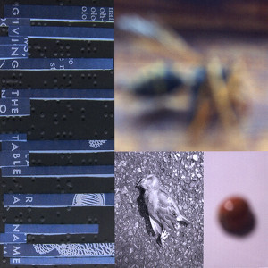 Sandspur Albumcover