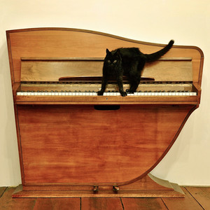 The Spin cover