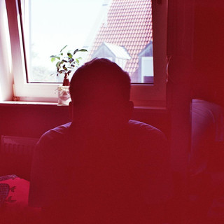 Ozelot Photo
