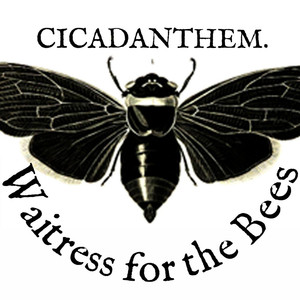 Cicadanthem Albumcover