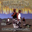 Destination: Southside Albumcover